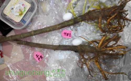 QQͼƬ20140314122405.jpg