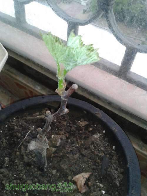 2014-03-19 07.56.17.jpg