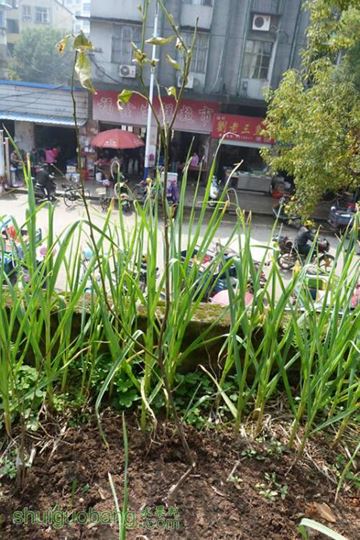 P1050079_.jpg