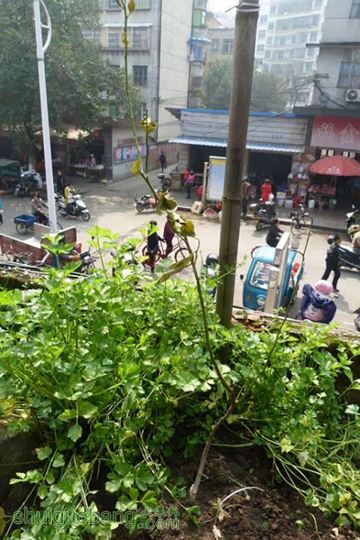 P1050082_.jpg