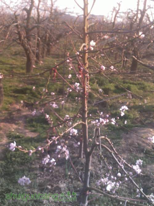 ����Ĵ���