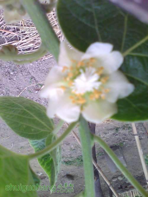IMG10263.jpg