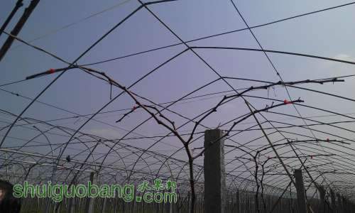 ������С 1.jpg