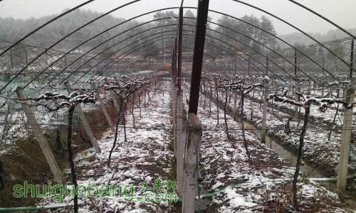 ������С 3.jpg