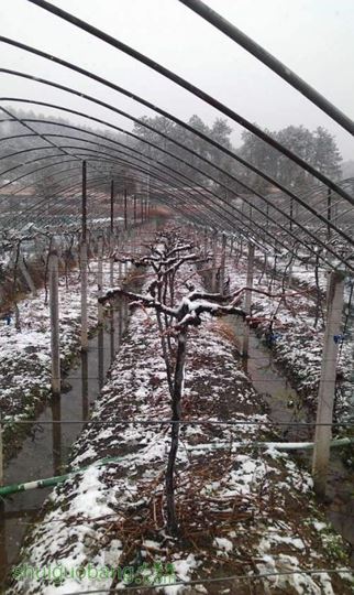 ������С 5.jpg