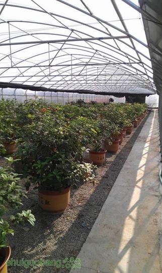 ������С 7.jpg