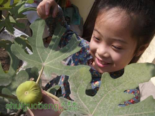 Ƭ 035.jpg