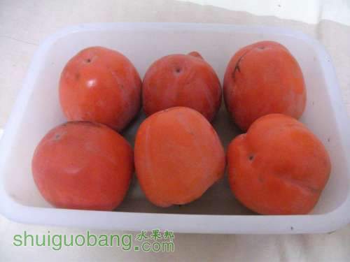Ƭ 004.jpg