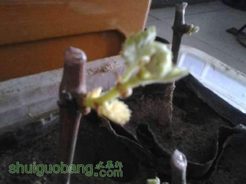 QQͼƬ20140324202917.jpg