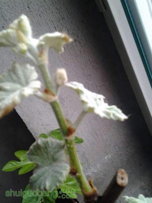 UC_Photo_008.jpg