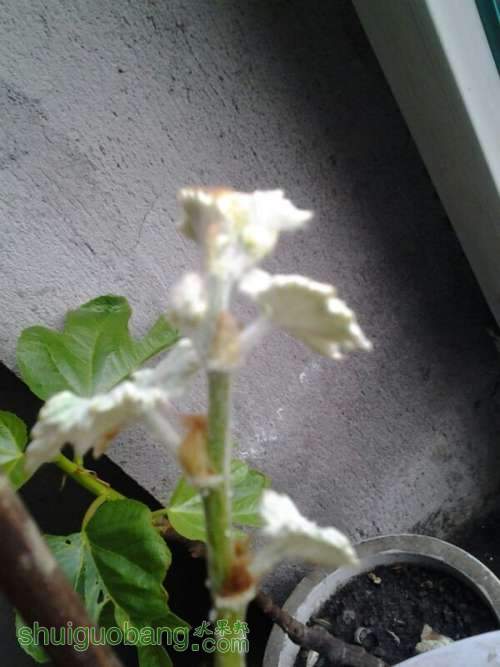 UC_Photo_009.jpg