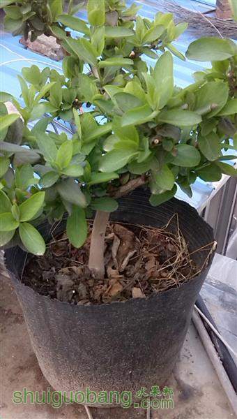 C360_2014-03-26-17-30-11-447 ().jpg