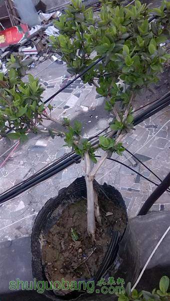 C360_2014-03-26-17-33-19-393 (����).jpg
