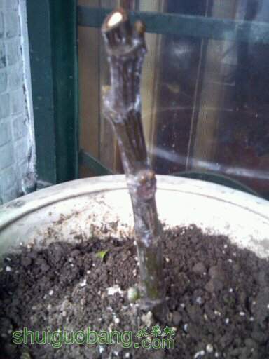1393902577866.jpg