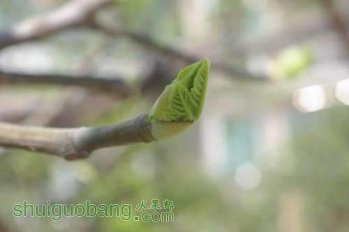 IMGP8912.JPG