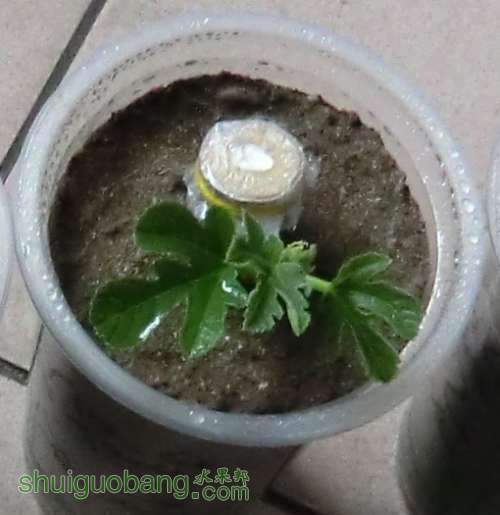 �����.jpg