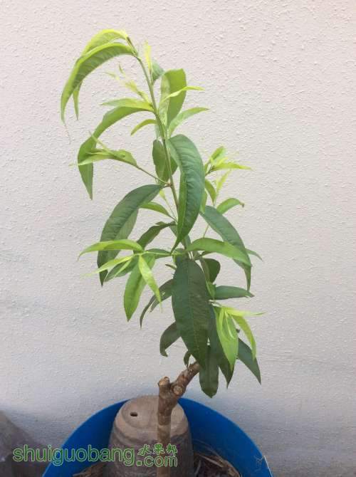 2014-03-28 065320.jpg