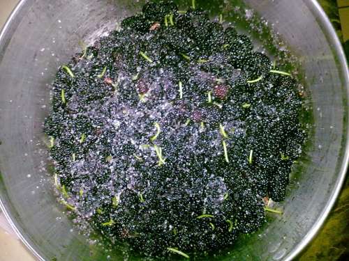 20140328333_1.jpg