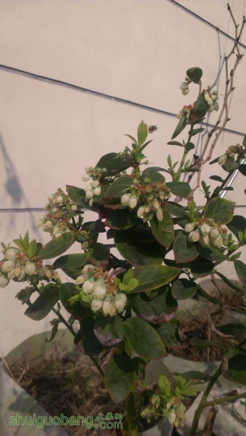IMAG0044.jpg