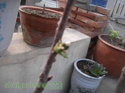 Ƭ 003.jpg