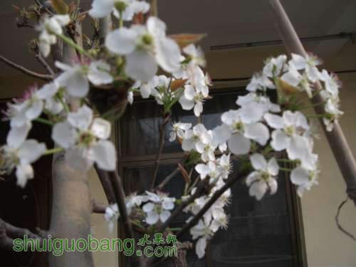 Ƭ 014.jpg