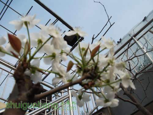 Ƭ 015.jpg