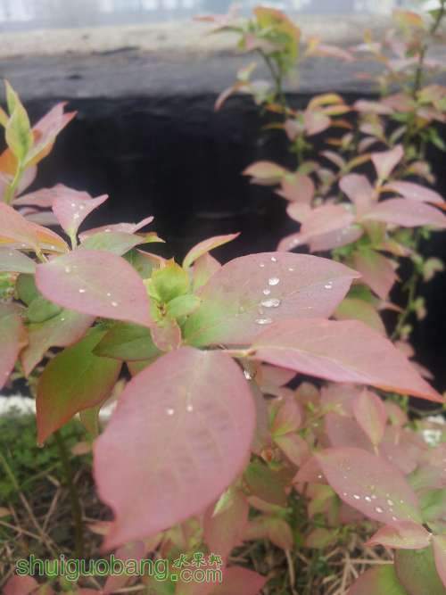 20140329_085444pp.JPG