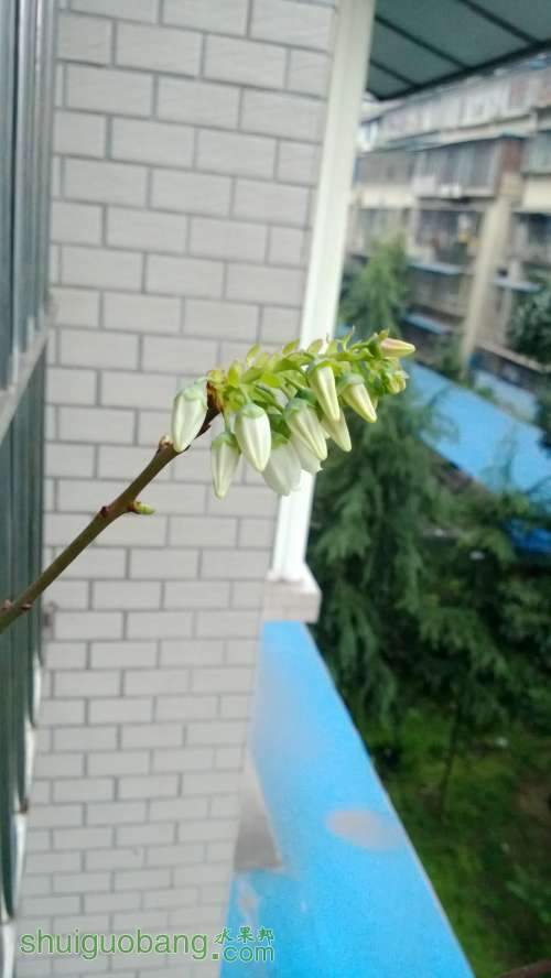 WP_20140329_008.jpg