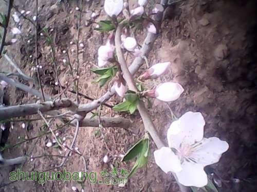 IMG_20140327_092322.jpg