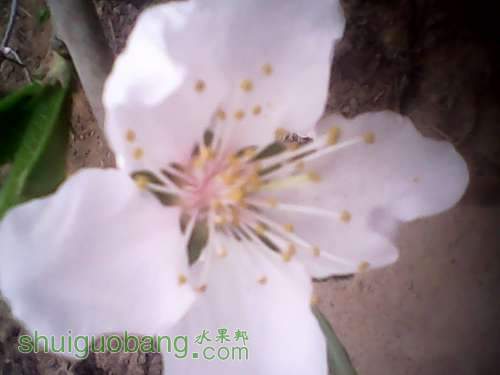 IMG_20140327_092306.jpg