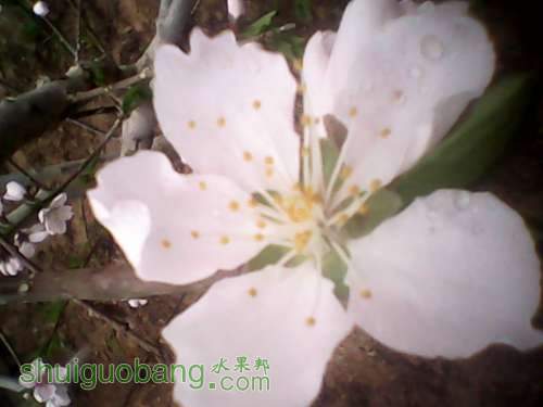 IMG_20140328_082750.jpg
