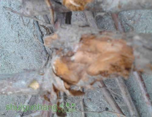 IMG_20140314_153708.jpg