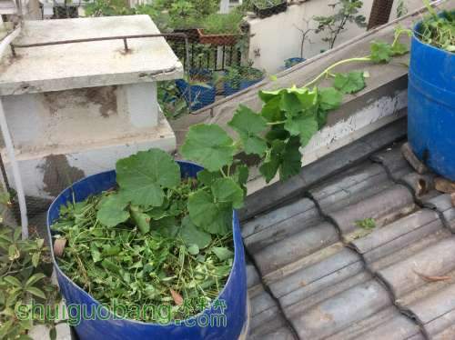 2014-03-29 091919.jpg