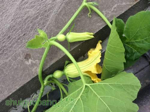 2014-03-29 091940.jpg