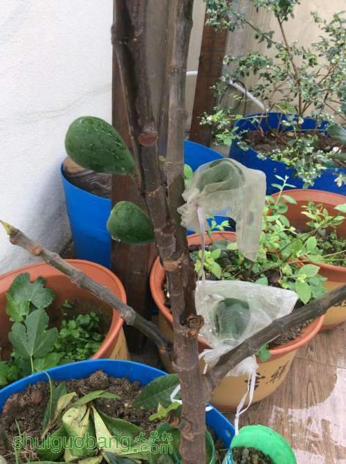 2014-03-29 163541.jpg