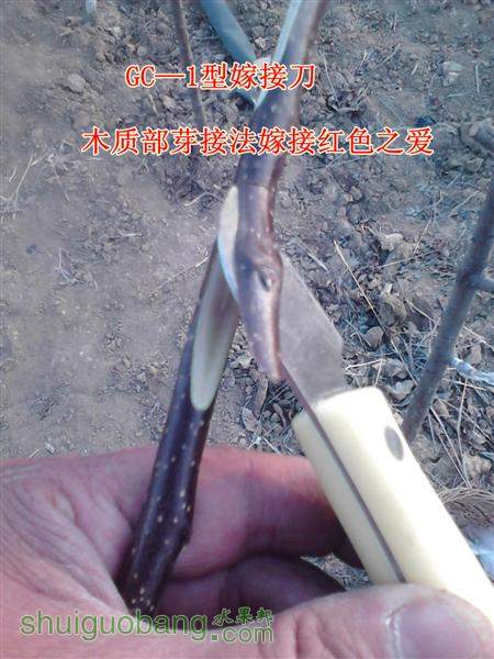 1 ().jpg