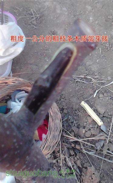 2 ().jpg