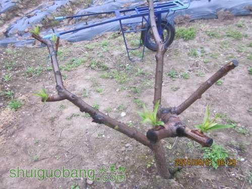Ƭ 016.jpg