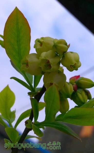 QQͼƬ20140401114939.jpg