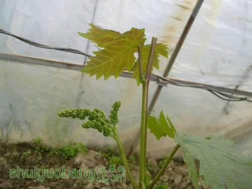 20140401596.jpg