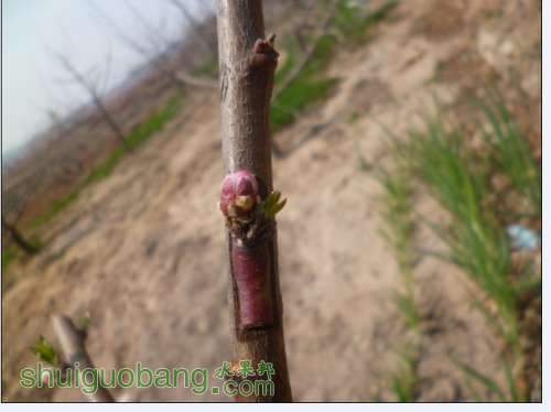 QQͼƬ20140401195517.jpg