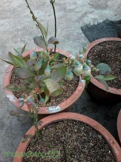 QQͼƬ20140401195926.jpg