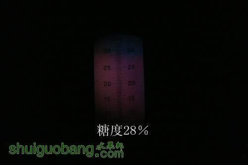 GEDC0287_����.jpg
