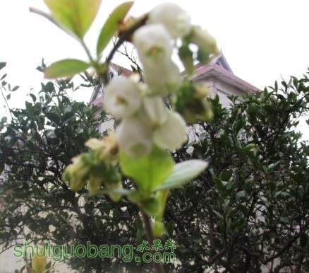 QQͼƬ20140402123737W.jpg