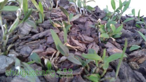 IMG_20140317_175228.jpg