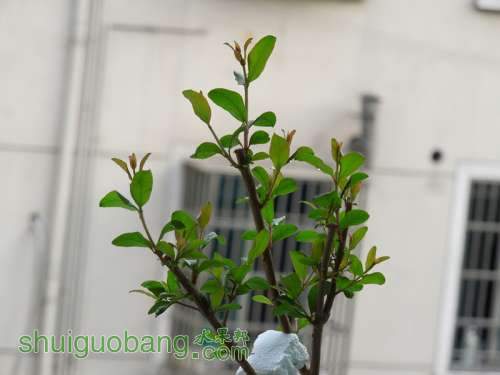 DSCN4025_.jpg