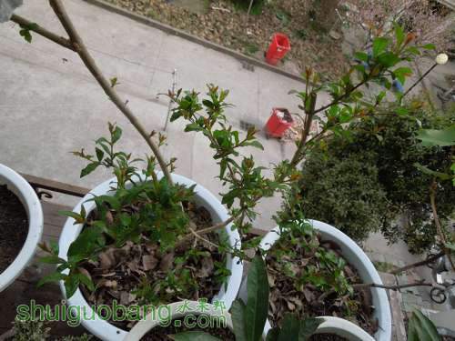 DSCN4026_.jpg