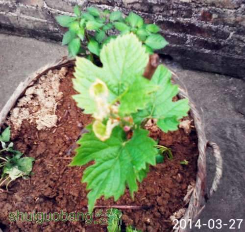 QQͼƬ20140328191527.jpg