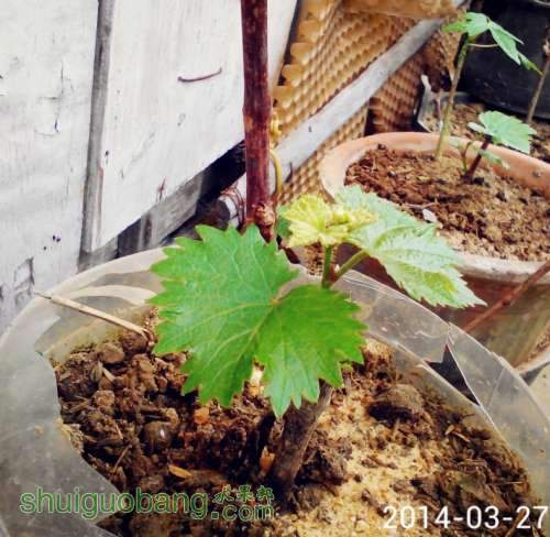 QQͼƬ20140328191857.jpg