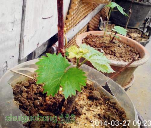 QQͼƬ20140328191925.jpg